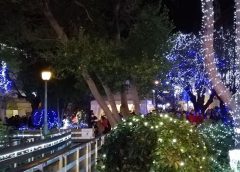 Prijave na božično-novoletni sejem